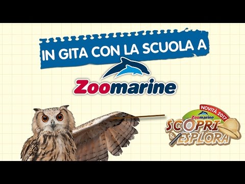 scaricare sigla zoomarine